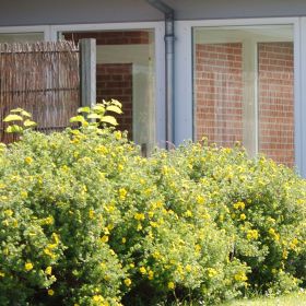 Glasgang udefra Grønnegården