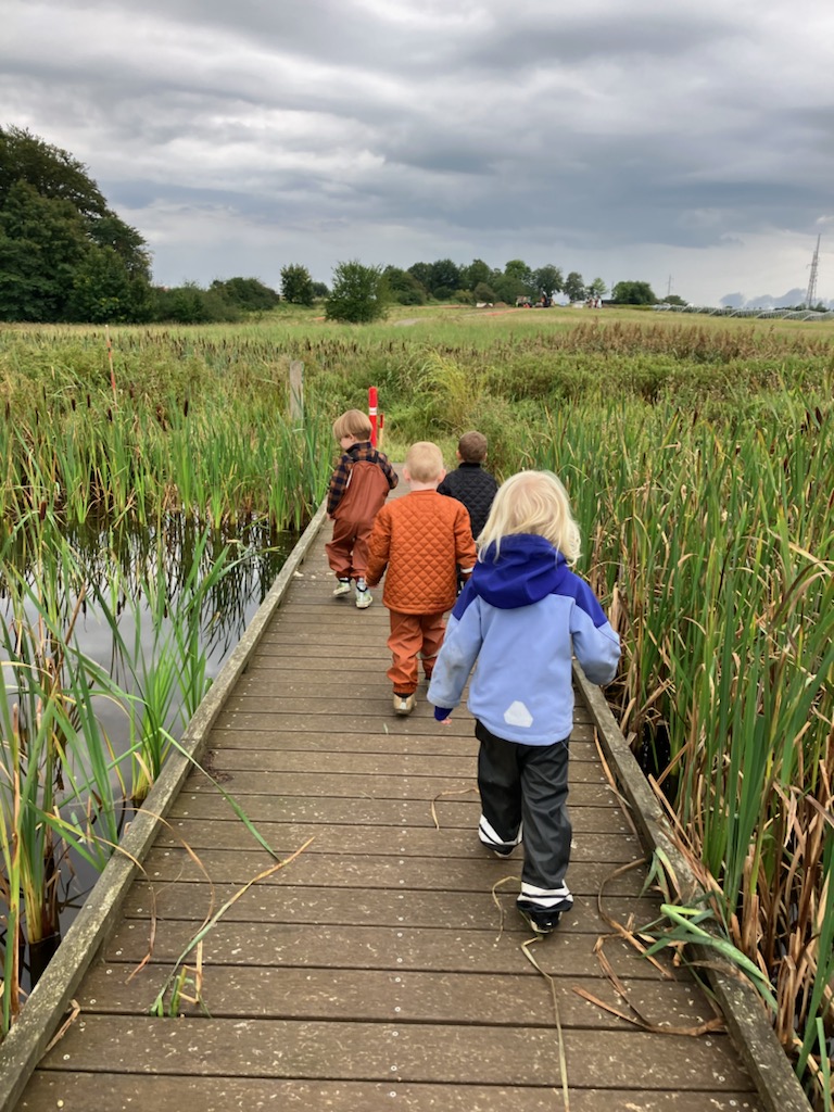 Børnehavebørn på en bro over en lille sø - på haletudsejagt