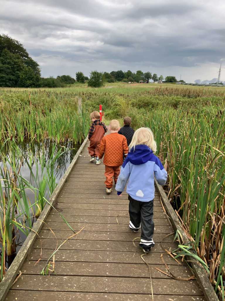 Børnehavebørn på en bro over en lille sø - på haletudsejagt