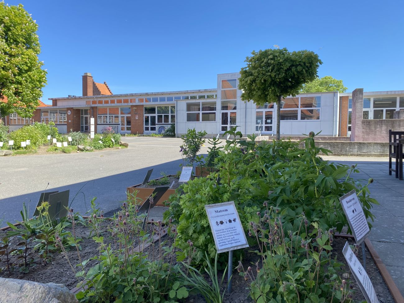 Grundtvigskolens gård med et stort bed i forgrunden