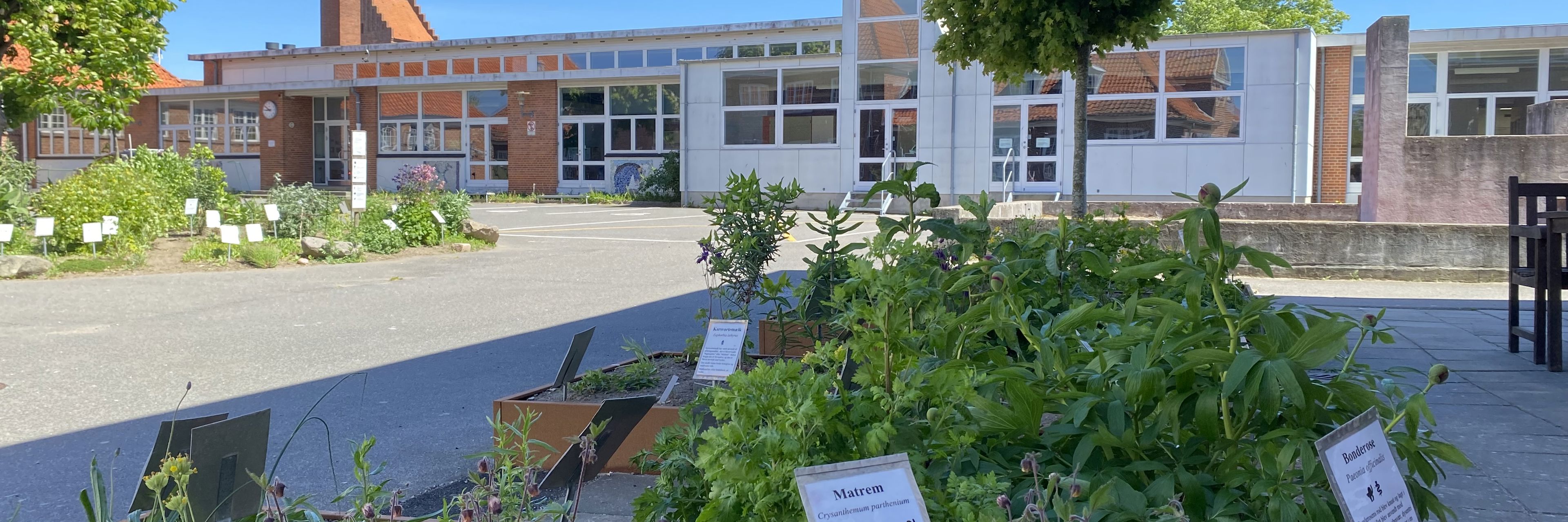 Grundtvigskolens gård med et stort bed i forgrunden