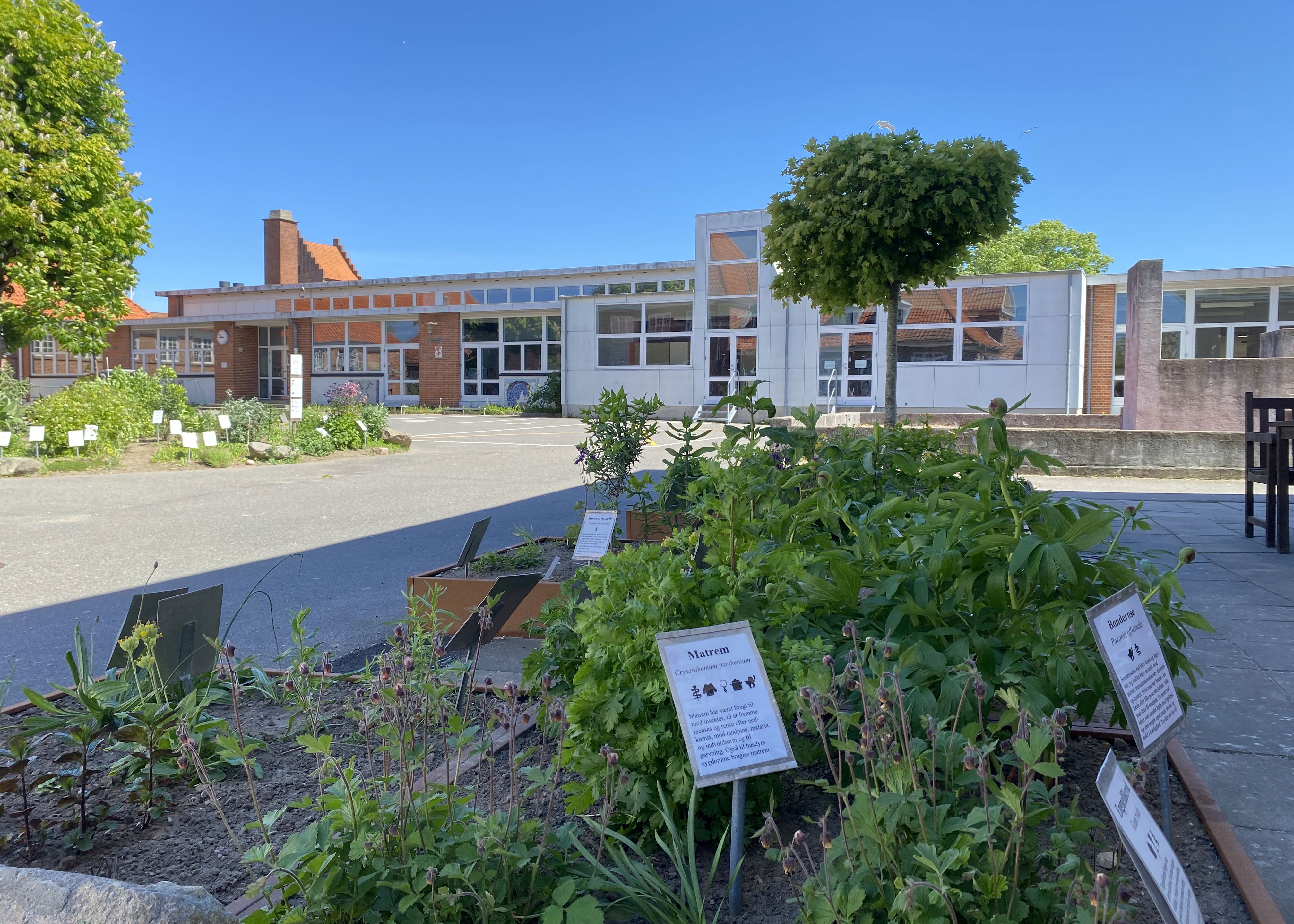 Grundtvigskolens gård med et stort bed i forgrunden