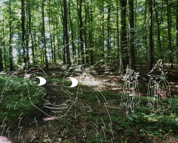 Stokkebjerg Skov Skovlingesagaerne