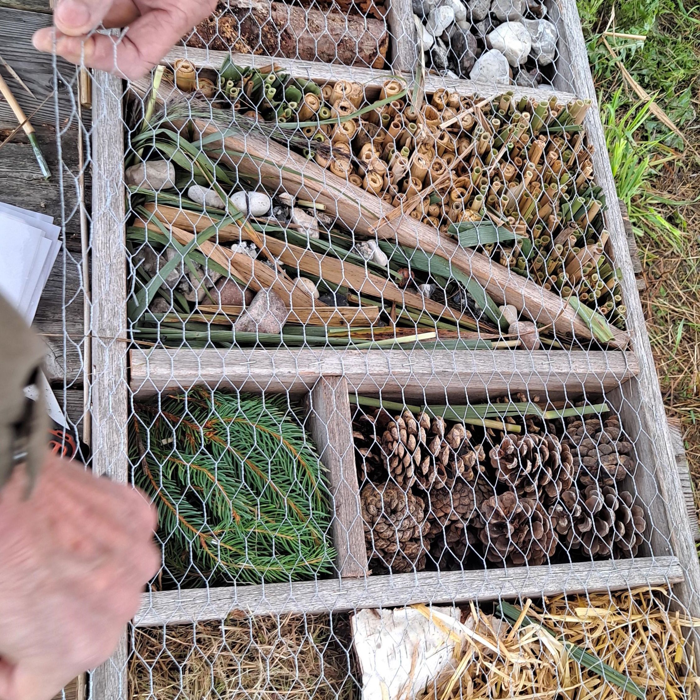 Tilblivelse af insekthotel på skovstykket ved Nyrup