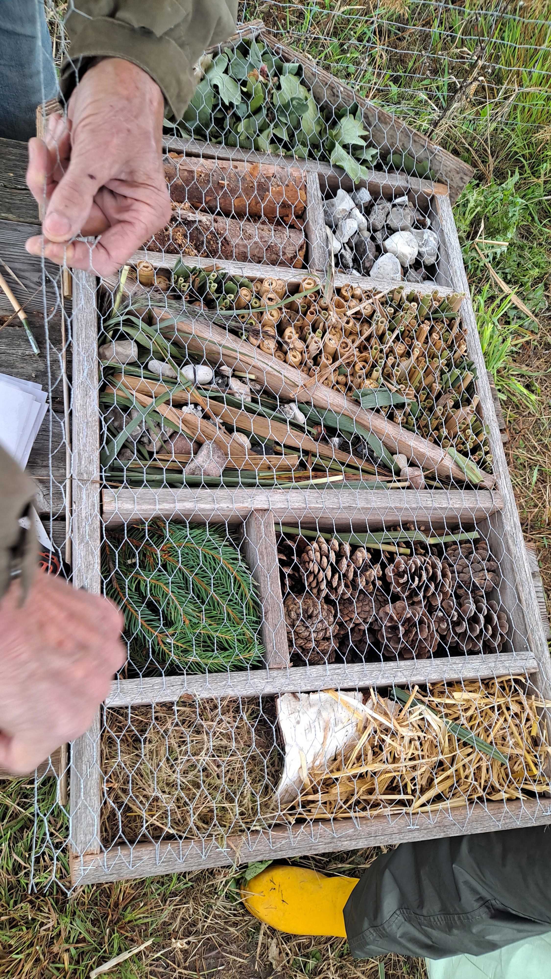 Tilblivelse af insekthotel på skovstykket ved Nyrup