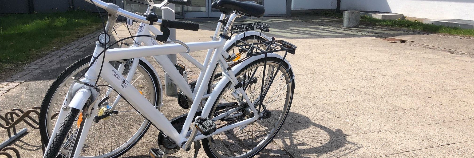 Cykler parkeret foran hovedindgangen af rådhuset