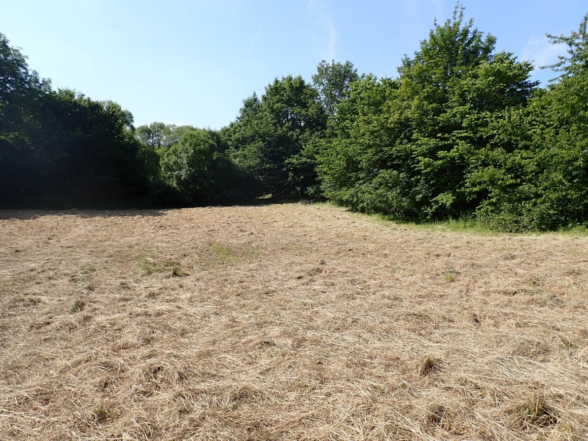 lavning til etablering af sø