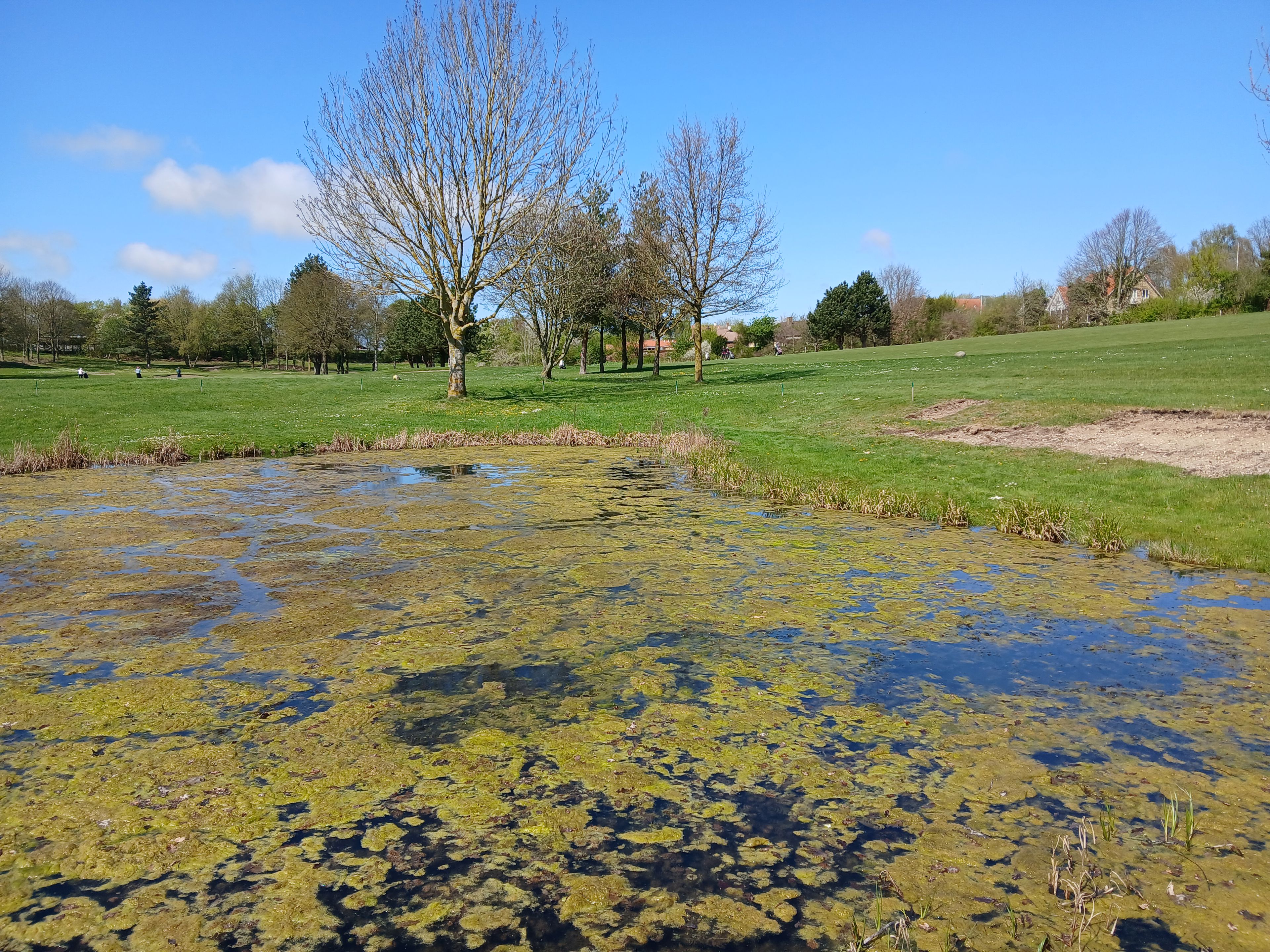 sø, oprensning § 3 udvidelse