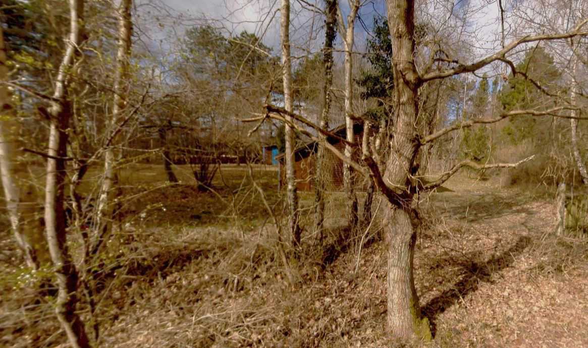 Foto af træer på Flyndersøvej 4