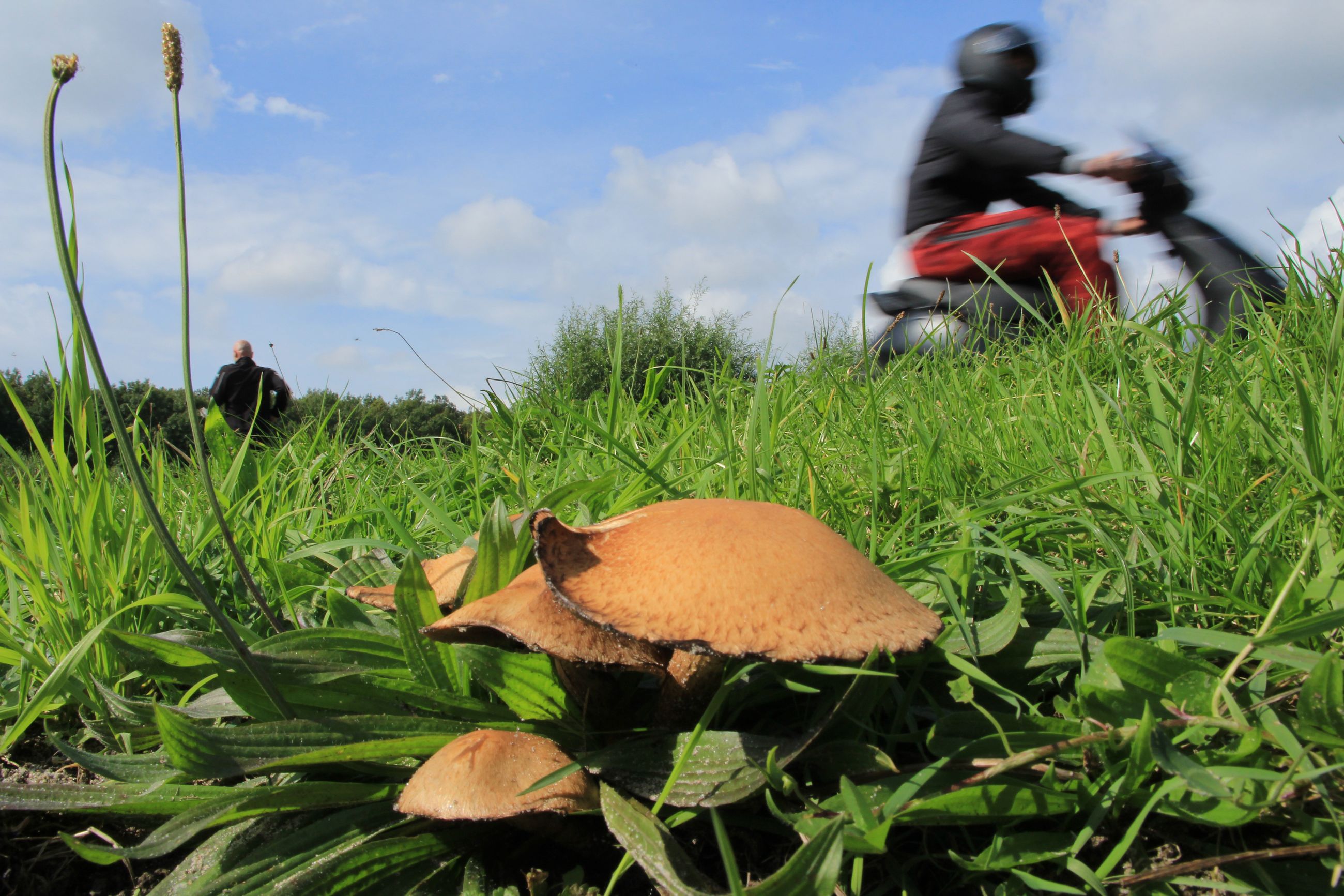 Ung mand på knallert