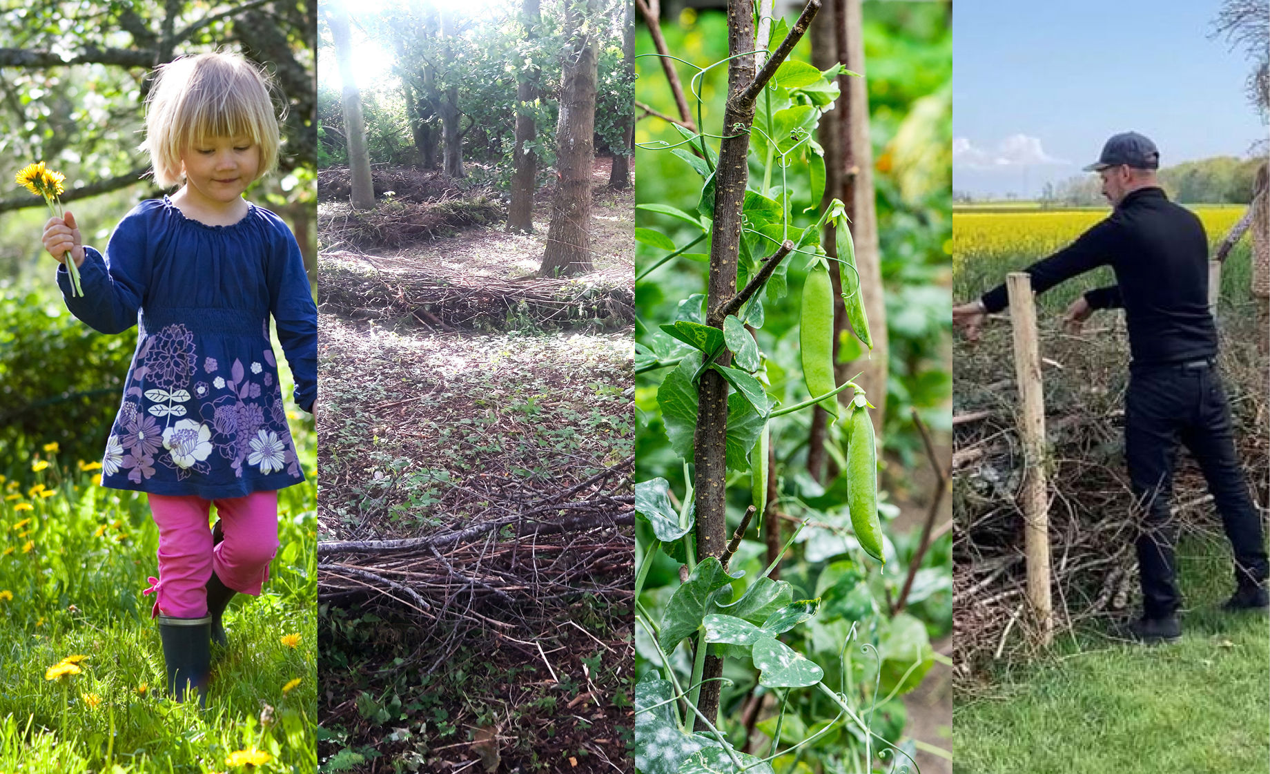 Illustration af børn og haveaffald