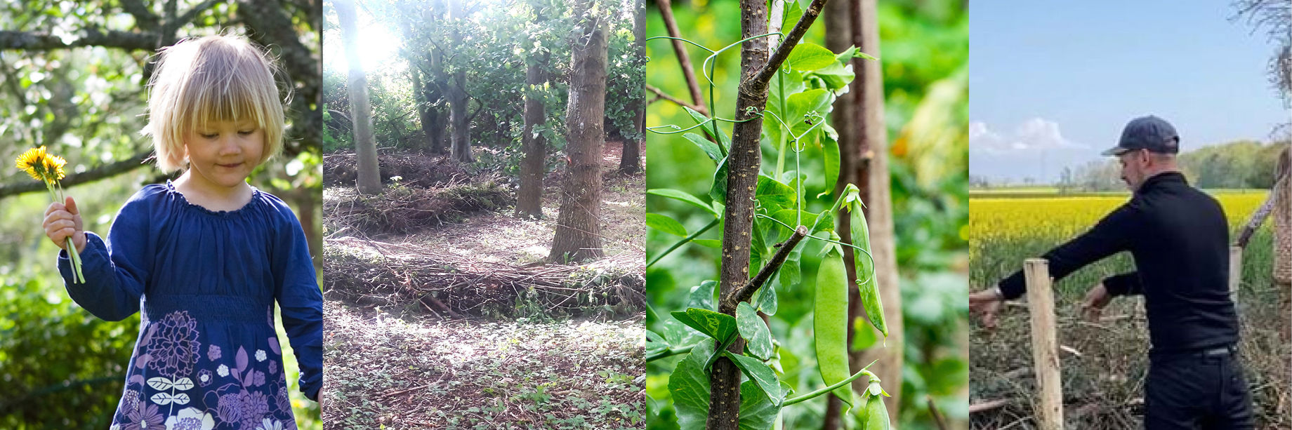 Illustration af børn og haveaffald