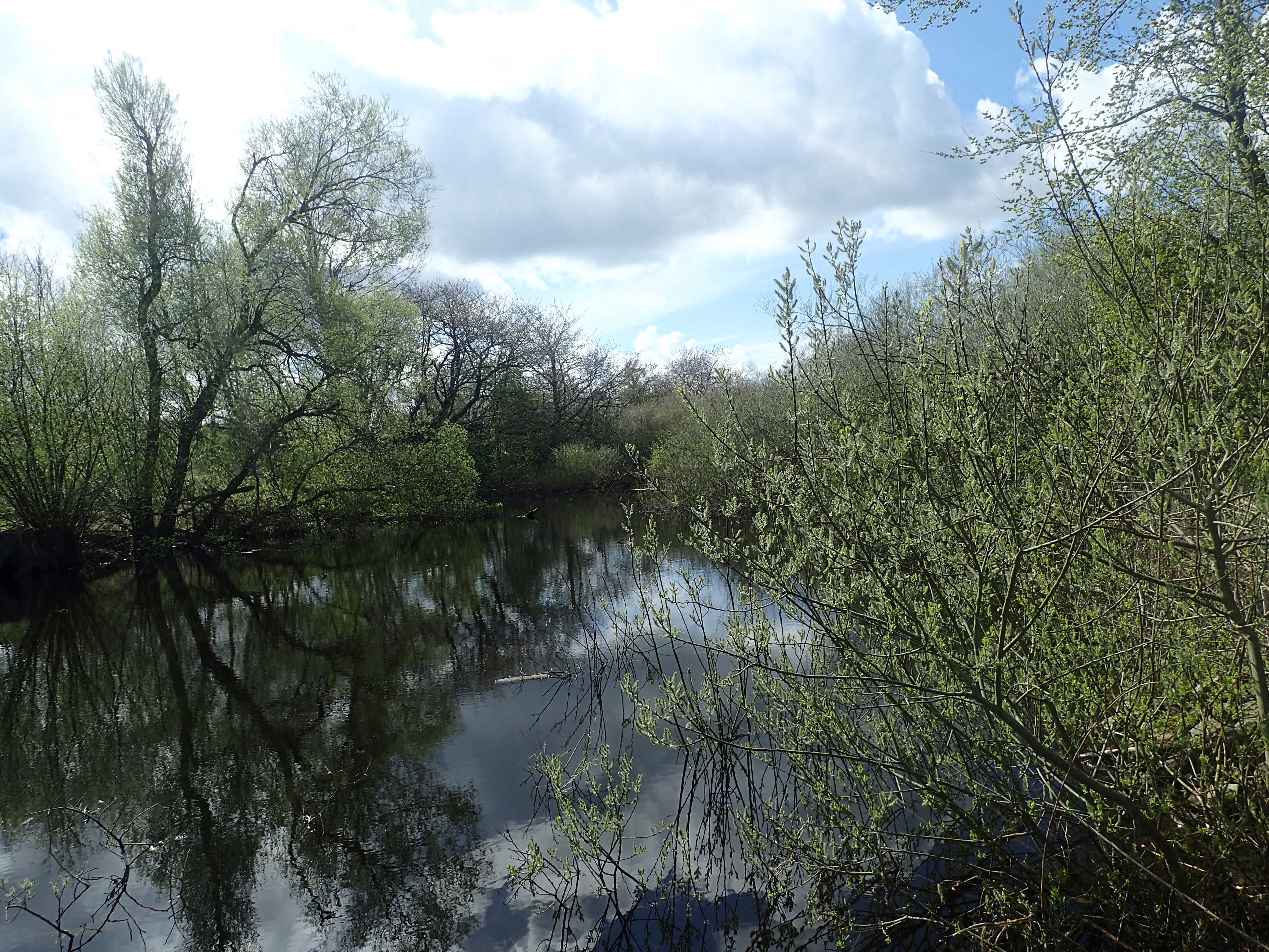 sø, oprensning § 3