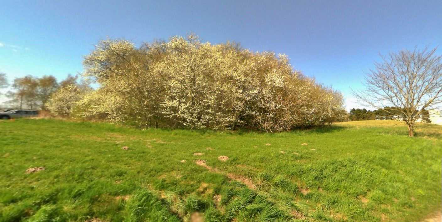 Højby - fortidsmindefoto