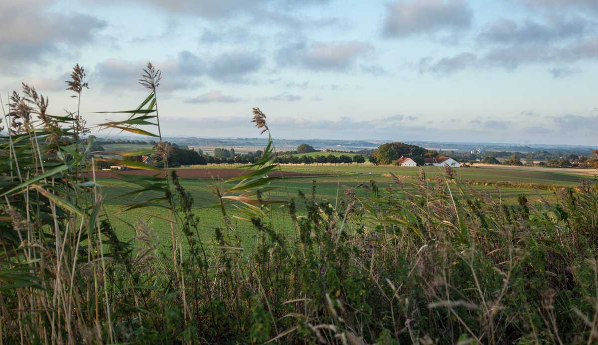 Landbrug og natur i Odsherred, hvor co2-udledningen skal nedbringes i samarbejde mellem landbruget og kommunen.