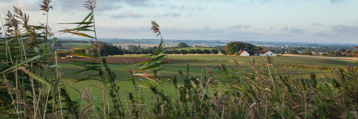 Landbrug og natur i Odsherred, hvor co2-udledningen skal nedbringes i samarbejde mellem landbruget og kommunen.