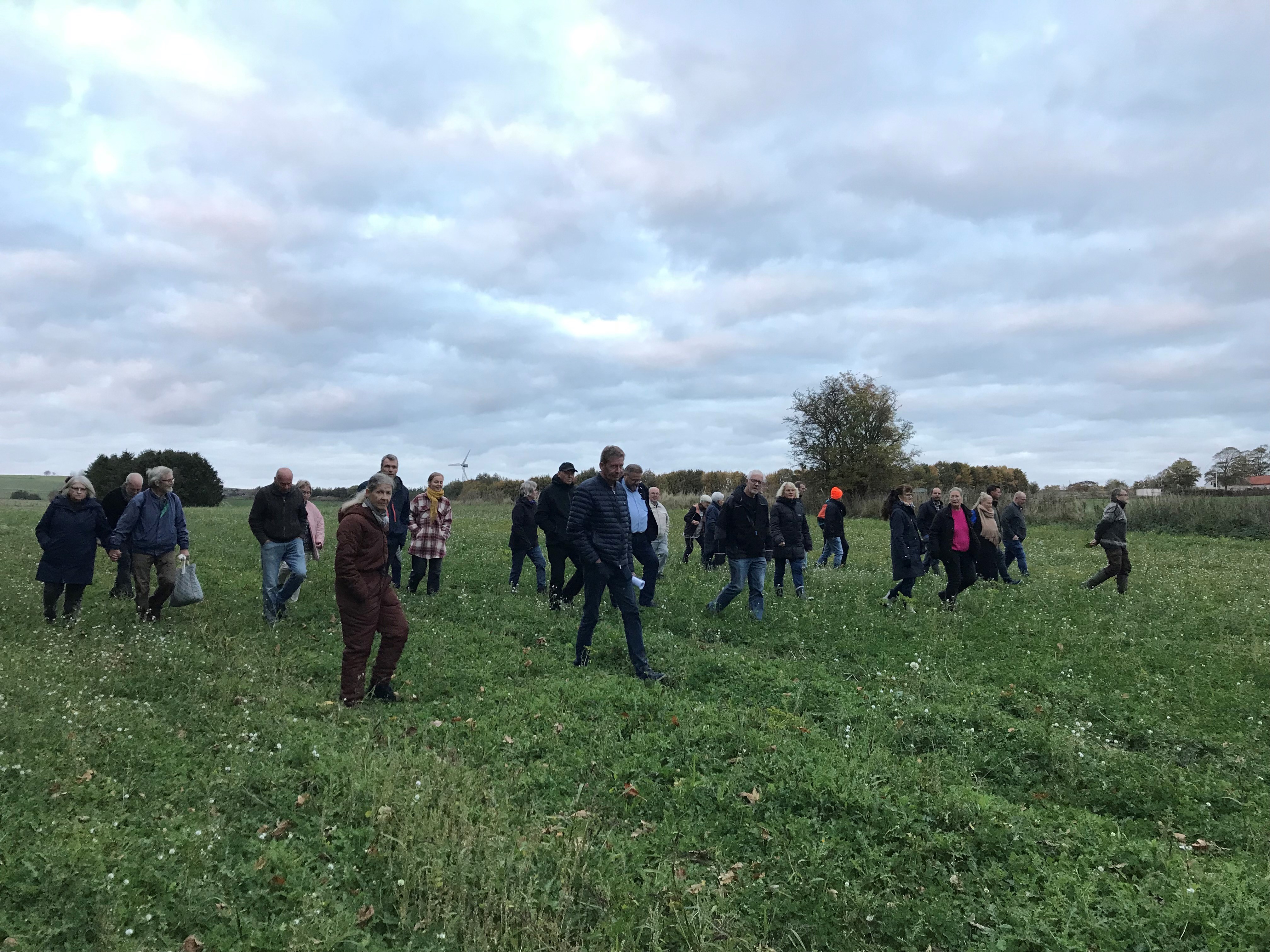 markvandring skovrejsning