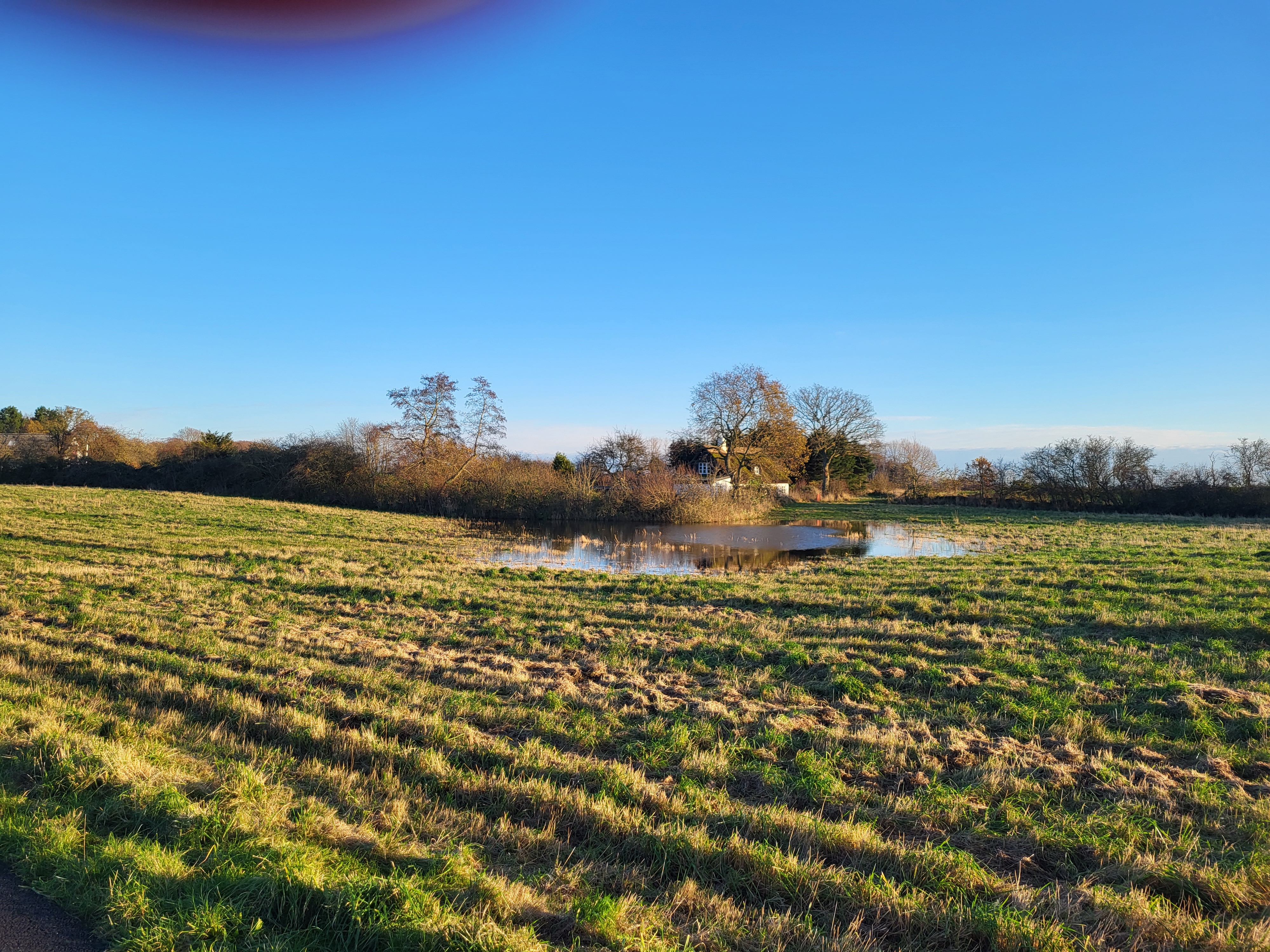 Foto af diget set fra Skovhaven