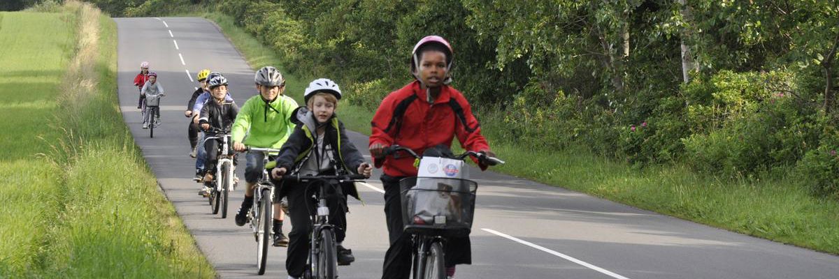 Børn cykler på landevej