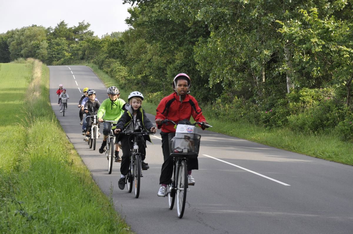 Børn cykler på landevej